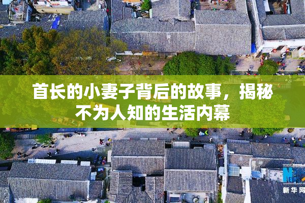 首长的小妻子背后的故事，揭秘不为人知的生活内幕