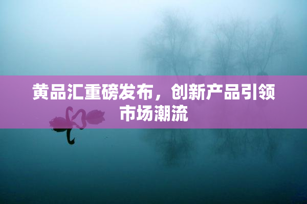 黄品汇重磅发布，创新产品引领市场潮流