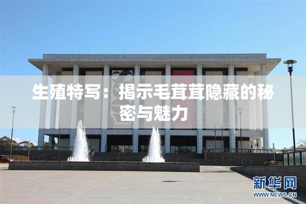生殖特写：揭示毛茸茸隐藏的秘密与魅力
