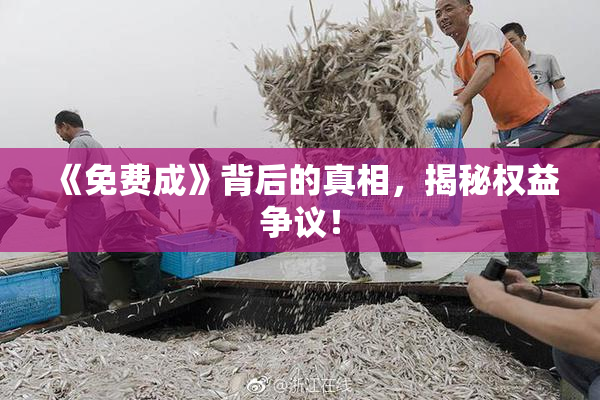 《免费成》背后的真相，揭秘权益争议！