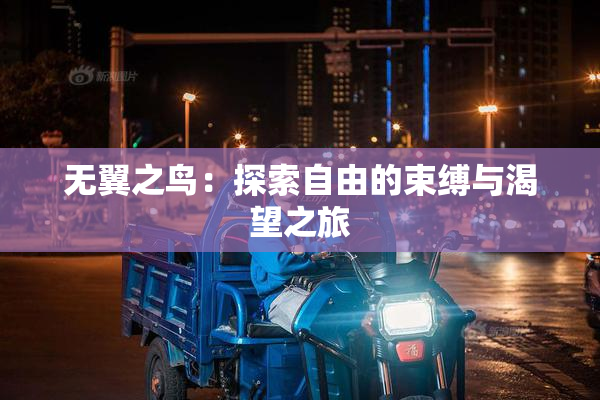 无翼之鸟：探索自由的束缚与渴望之旅