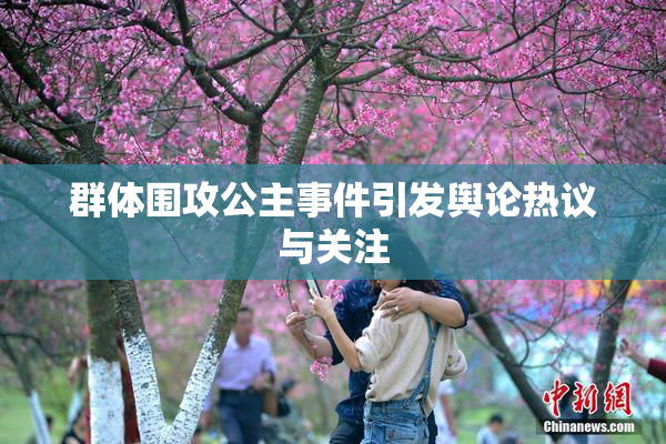 群体围攻公主事件引发舆论热议与关注