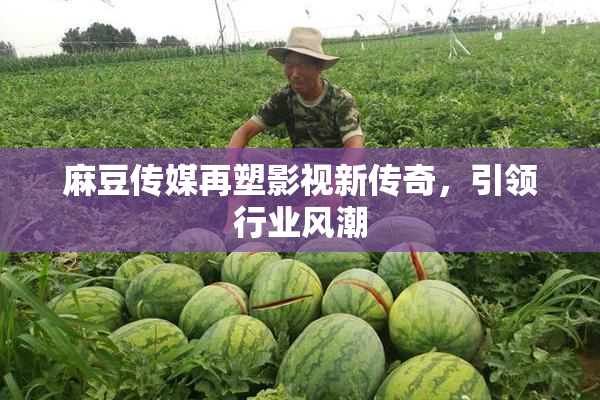 麻豆传媒再塑影视新传奇，引领行业风潮