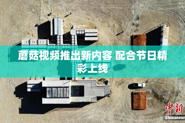 蘑菇视频推出新内容 配合节日精彩上线