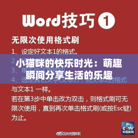 小猫咪的快乐时光：萌趣瞬间分享生活的乐趣