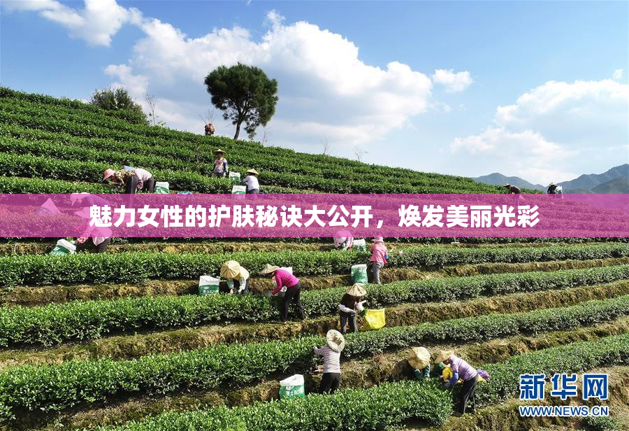 魅力女性的护肤秘诀大公开，焕发美丽光彩