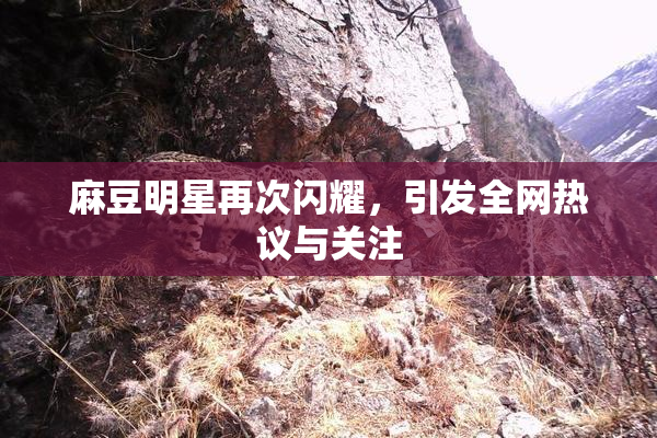 麻豆明星再次闪耀，引发全网热议与关注