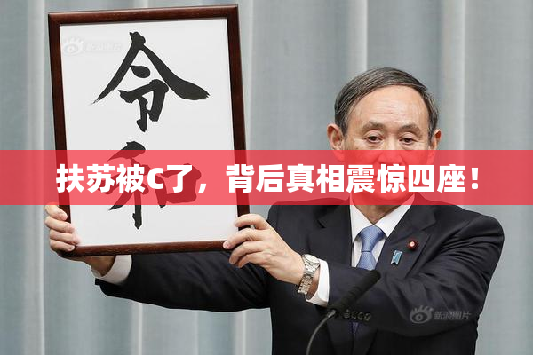 扶苏被C了，背后真相震惊四座！