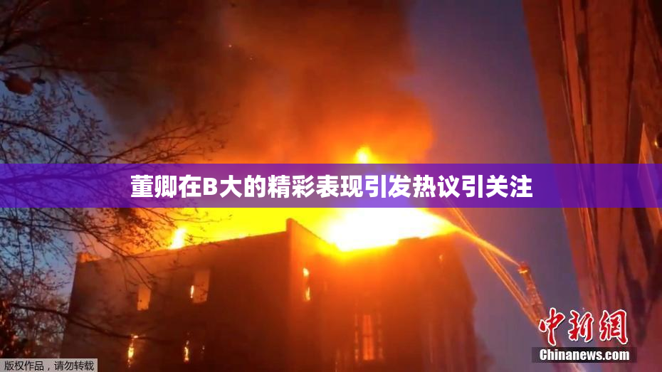 董卿在B大的精彩表现引发热议引关注