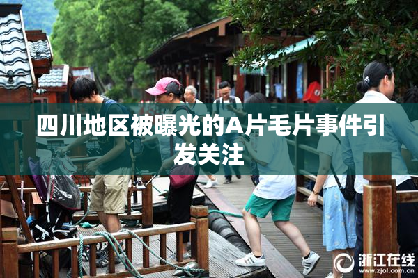 四川地区被曝光的A片毛片事件引发关注