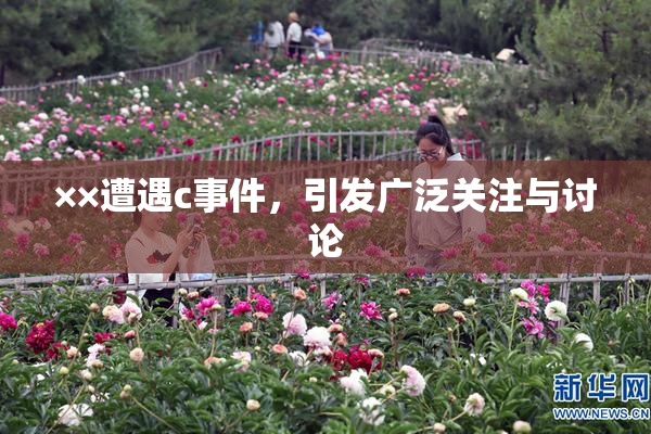 ××遭遇c事件，引发广泛关注与讨论