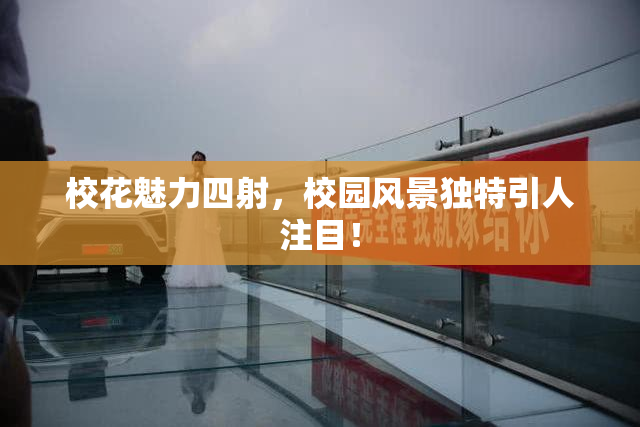 校花魅力四射，校园风景独特引人注目！