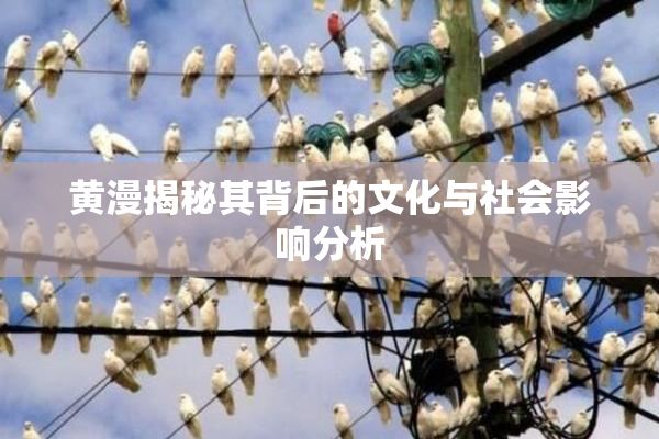 黄漫揭秘其背后的文化与社会影响分析