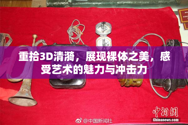 重拾3D清漪，展现裸体之美，感受艺术的魅力与冲击力
