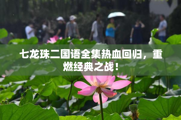 七龙珠二国语全集热血回归，重燃经典之战！