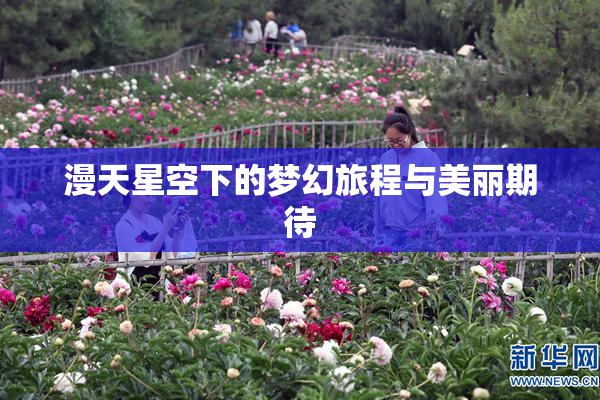 漫天星空下的梦幻旅程与美丽期待