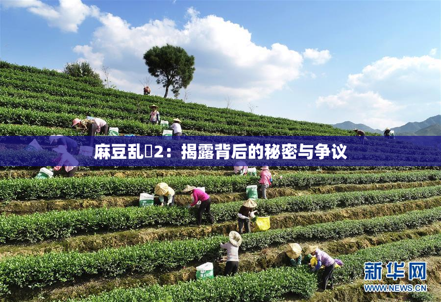 麻豆乱婬2：揭露背后的秘密与争议