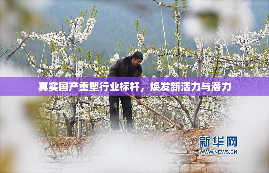 真实国产重塑行业标杆，焕发新活力与潜力