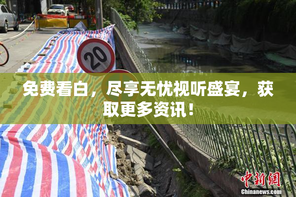 免费看白，尽享无忧视听盛宴，获取更多资讯！