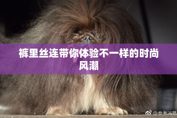 裤里丝连带你体验不一样的时尚风潮