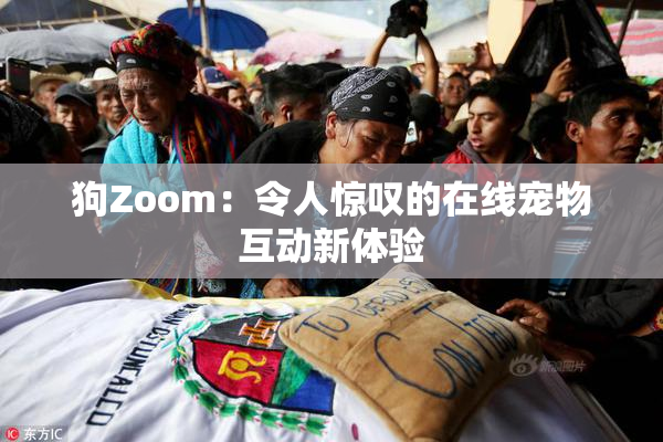 狗Zoom：令人惊叹的在线宠物互动新体验