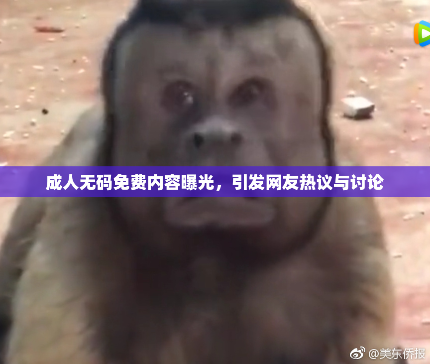 成人无码免费内容曝光，引发网友热议与讨论