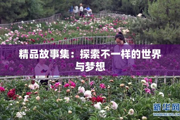 精品故事集：探索不一样的世界与梦想