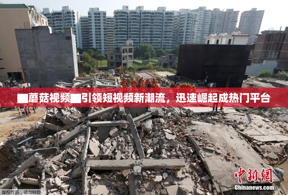▇蘑菇视频▇引领短视频新潮流，迅速崛起成热门平台