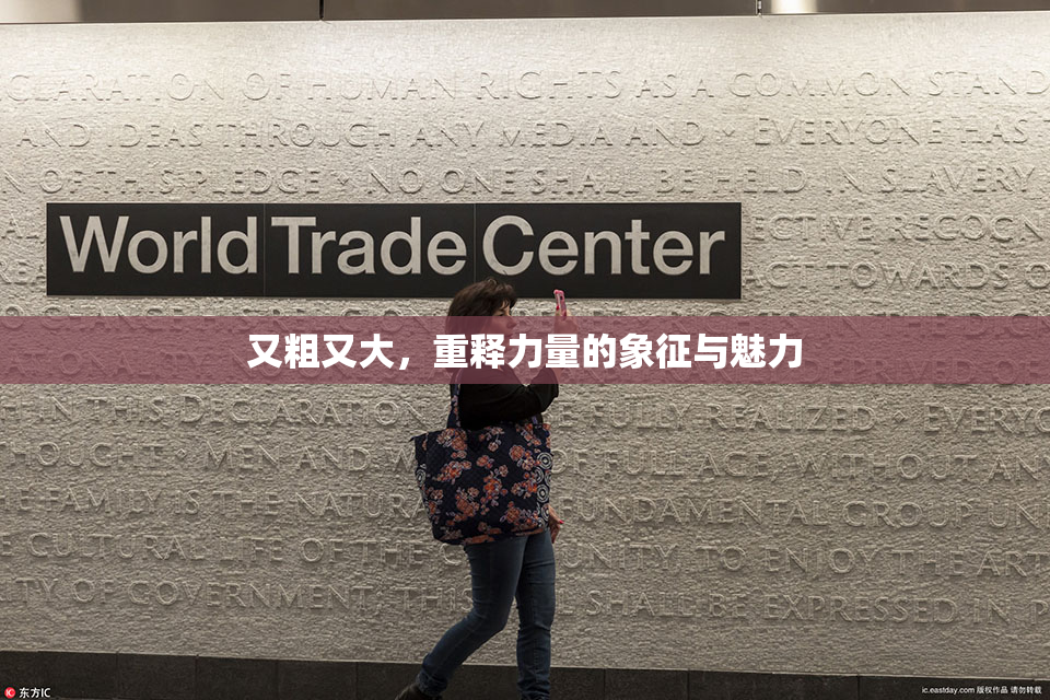 又粗又大，重释力量的象征与魅力