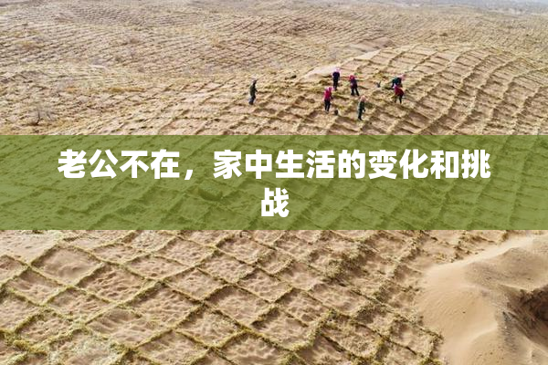 老公不在，家中生活的变化和挑战