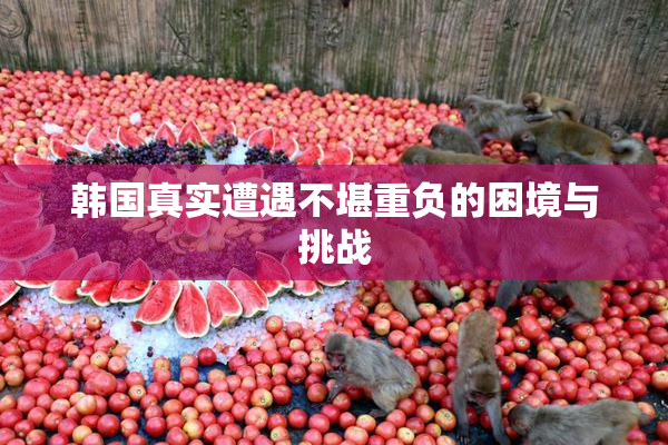 韩国真实遭遇不堪重负的困境与挑战