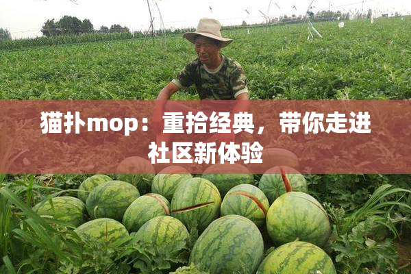 猫扑mop：重拾经典，带你走进社区新体验