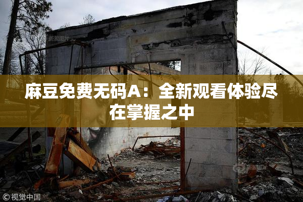 麻豆免费无码A：全新观看体验尽在掌握之中