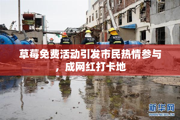 草莓免费活动引发市民热情参与，成网红打卡地
