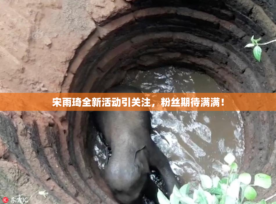 宋雨琦全新活动引关注，粉丝期待满满！