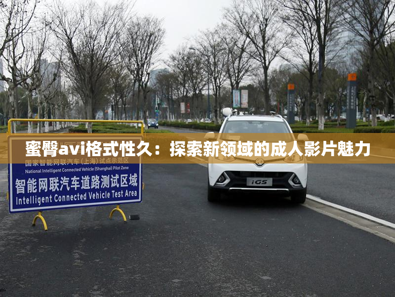 蜜臀avi格式性久：探索新领域的成人影片魅力
