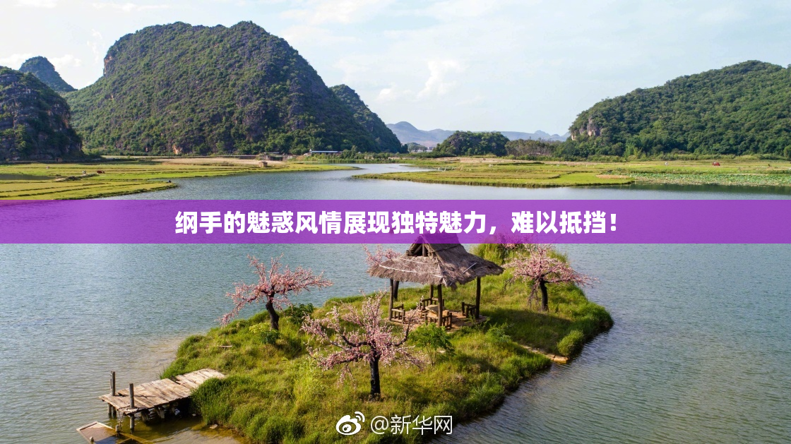 纲手的魅惑风情展现独特魅力，难以抵挡！
