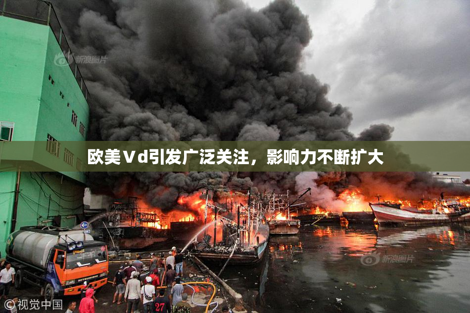 欧美Ⅴd引发广泛关注，影响力不断扩大