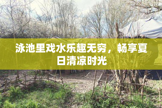 泳池里戏水乐趣无穷，畅享夏日清凉时光