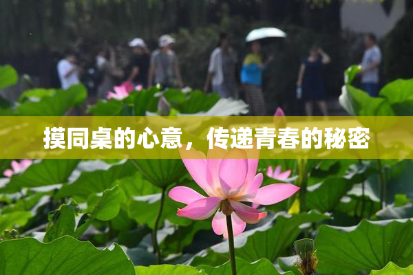 摸同桌的心意，传递青春的秘密