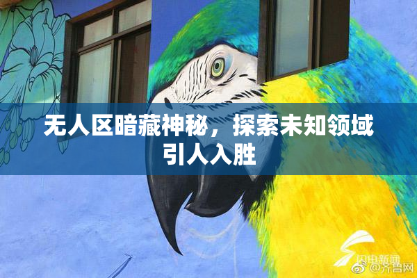 无人区暗藏神秘，探索未知领域引人入胜