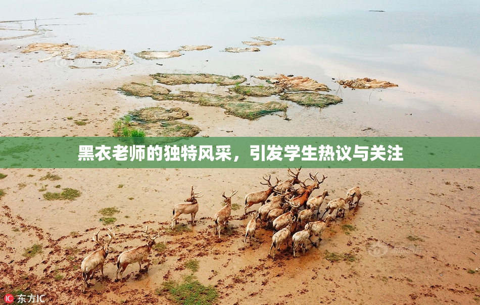 黑衣老师的独特风采，引发学生热议与关注