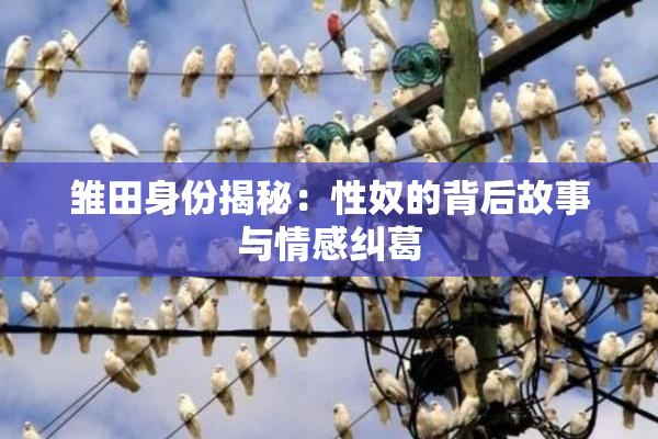 雏田身份揭秘：性奴的背后故事与情感纠葛