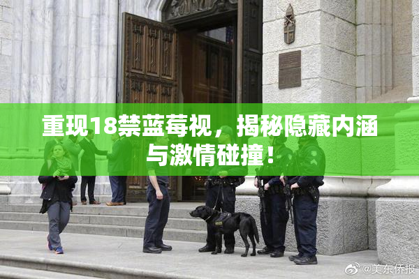 重现18禁蓝莓视，揭秘隐藏内涵与激情碰撞！