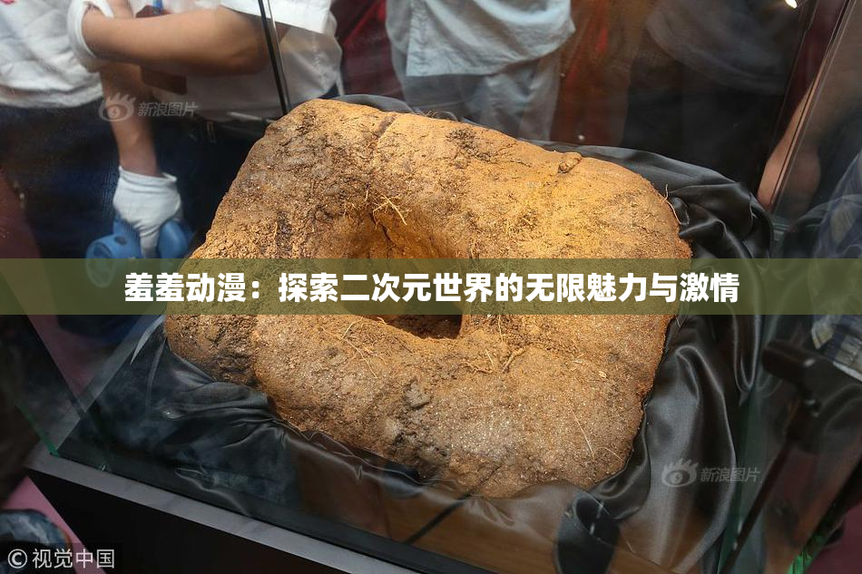 羞羞动漫：探索二次元世界的无限魅力与激情