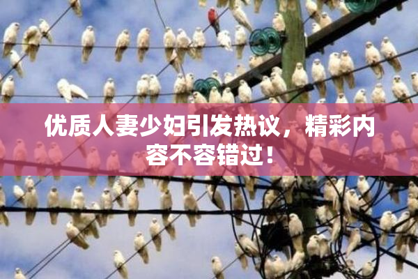 优质人妻少妇引发热议，精彩内容不容错过！