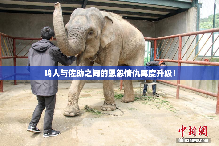 鸣人与佐助之间的恩怨情仇再度升级！