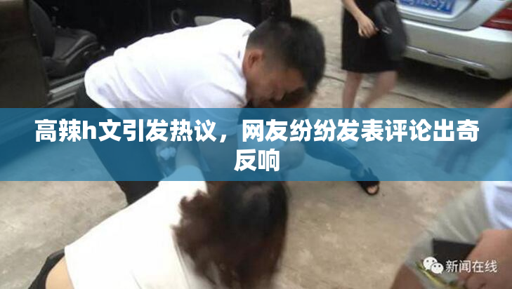 高辣h文引发热议，网友纷纷发表评论出奇反响