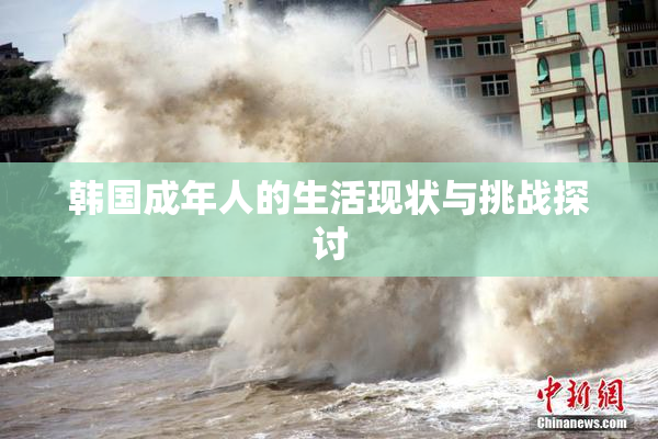 韩国成年人的生活现状与挑战探讨