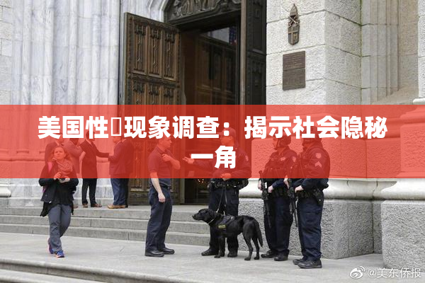 美国性婬现象调查：揭示社会隐秘一角